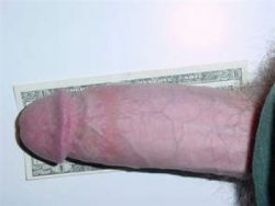 $20