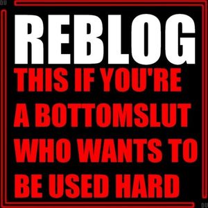 tumblr m2vxdrpGZT1rqxffvo1 500