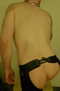 ass