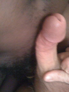 IMG 0016