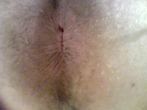 Boipussy2
