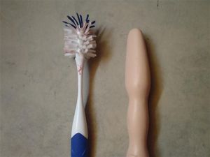 P8060029 (Small)