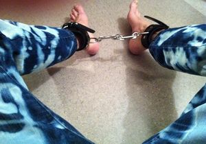 IMG 0006