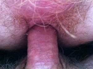 IMG 4809