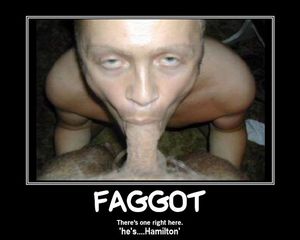 hamiltonmotivationfag