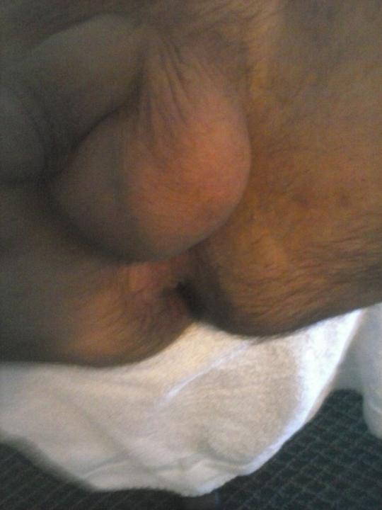 some pics