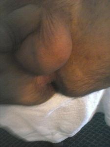 ass1