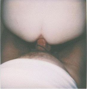 ADAMFUCK