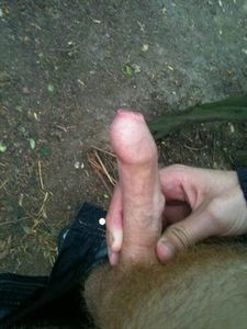 cock