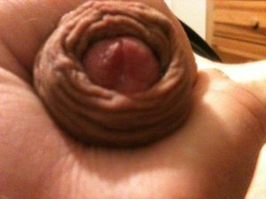 IMG 1334[1]