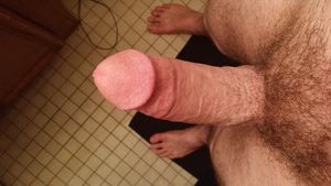Cock