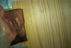 Four fingers