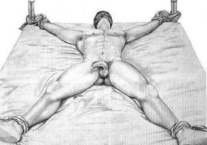 Devil spread eagle