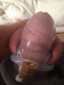 chastity 6