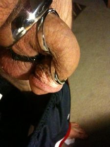 dick in cock snake