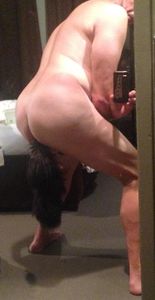 foxtail standing rearview