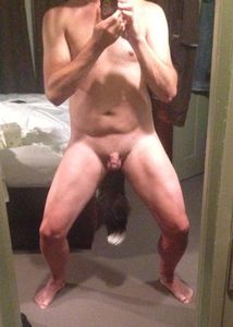foxtail standing