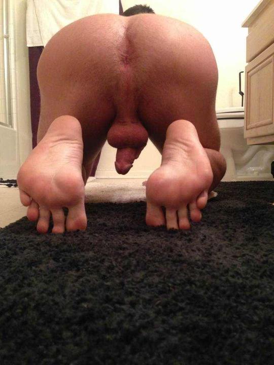 My Ass