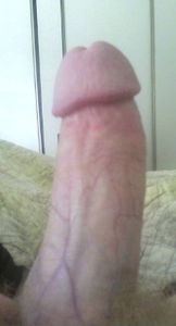 IMG 0100