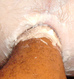 T 327859[1]