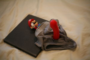 IMG 7554