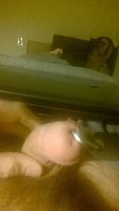 Cock