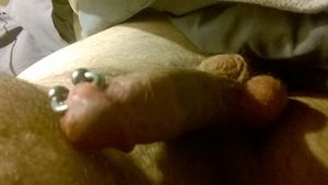 Cock