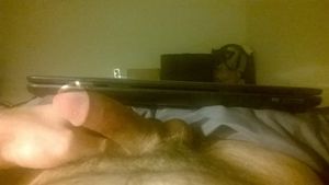 Cock