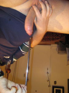 IMG 0537