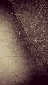 Public hole to breed