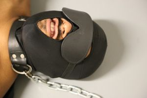 Pig Cunt