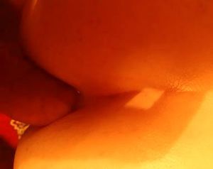 Bareback Fucked