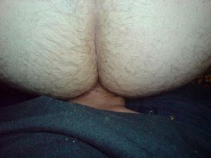 suck fuck and go