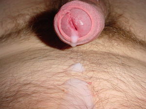 C16