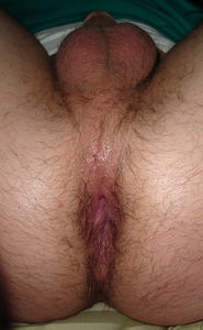 DSC01088