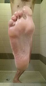 IMG 20151104 002450 2