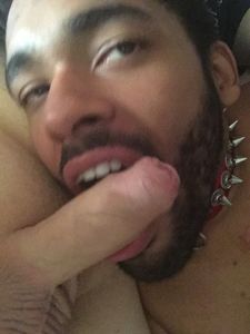 IMG 2106