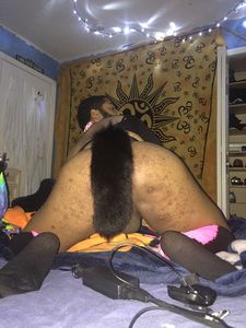 IMG 2781