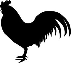 BIG...BLACK...COCK