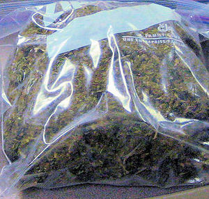 HUGE BAG OF PRIMO WEED FROM PURTA VIARTA 150.00