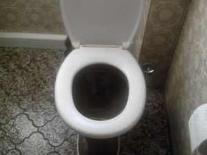 IMG 0003
