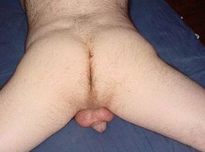 bedspread