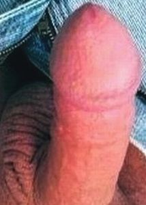 my cock