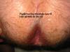 post-37017-0-94852000-1430597035_thumb.jpg