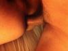 post-23762-140864355089_thumb.jpg