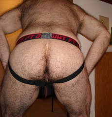my hairy ass pic 2