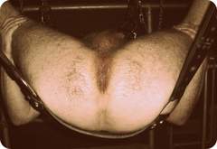 DSC00478.jpg