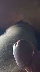 BBF
