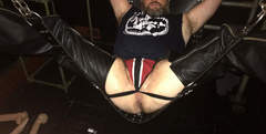 A breeding session in a sling