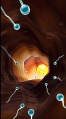 bio spawn